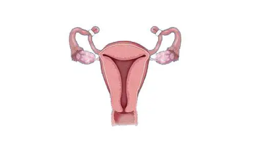 birth-control-tubal-ligation-ny-abortion-clinic